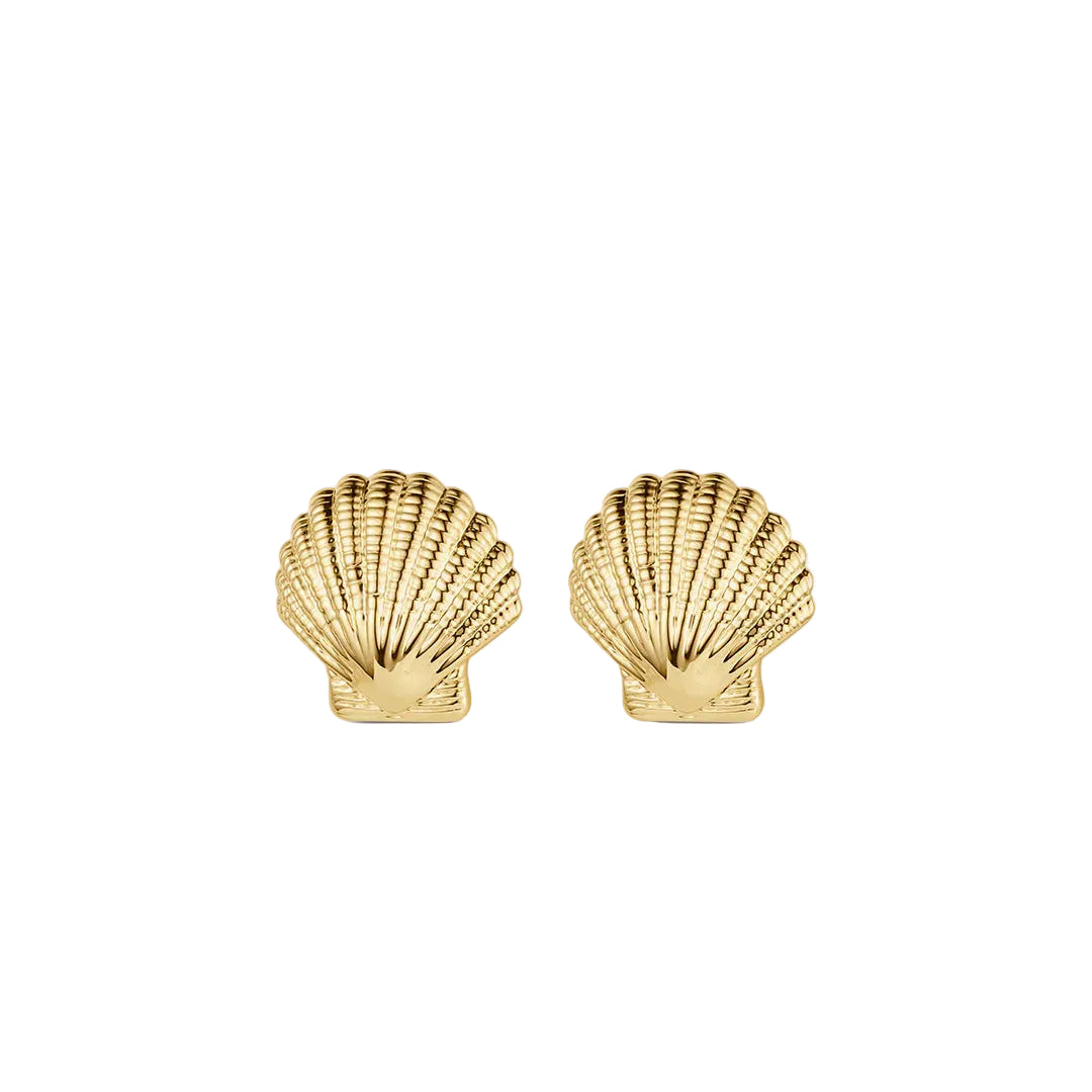 Shell Statement Studs