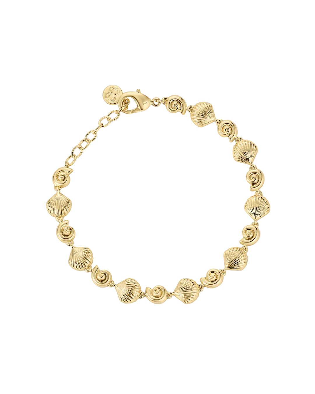 Nautilus Bracelet